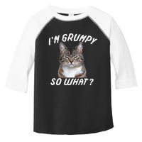 Angry Cat Meme I'm Grumpy So What Toddler Fine Jersey T-Shirt
