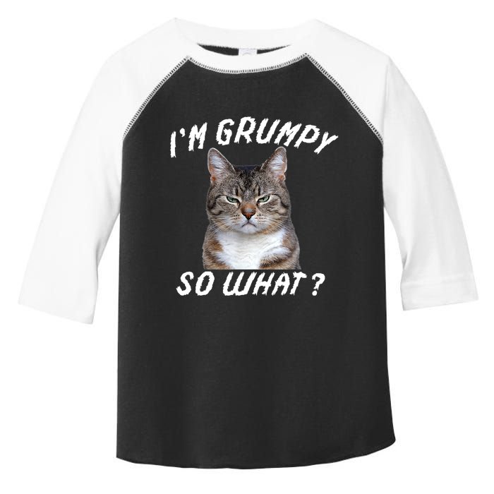 Angry Cat Meme I'm Grumpy So What Toddler Fine Jersey T-Shirt