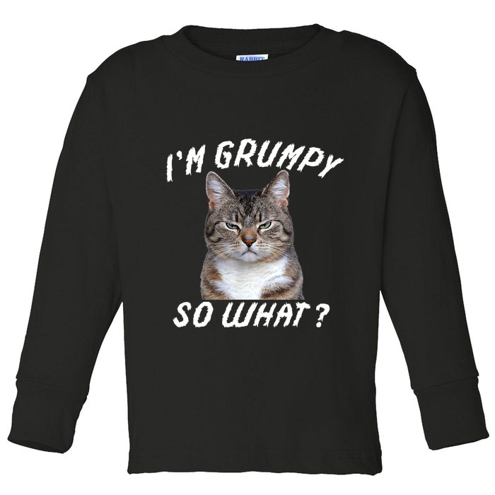 Angry Cat Meme I'm Grumpy So What Toddler Long Sleeve Shirt
