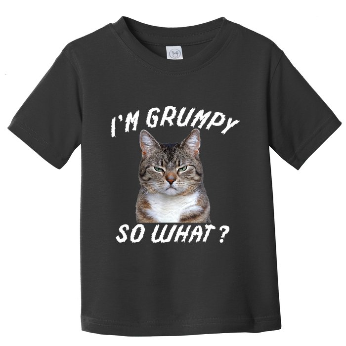 Angry Cat Meme I'm Grumpy So What Toddler T-Shirt