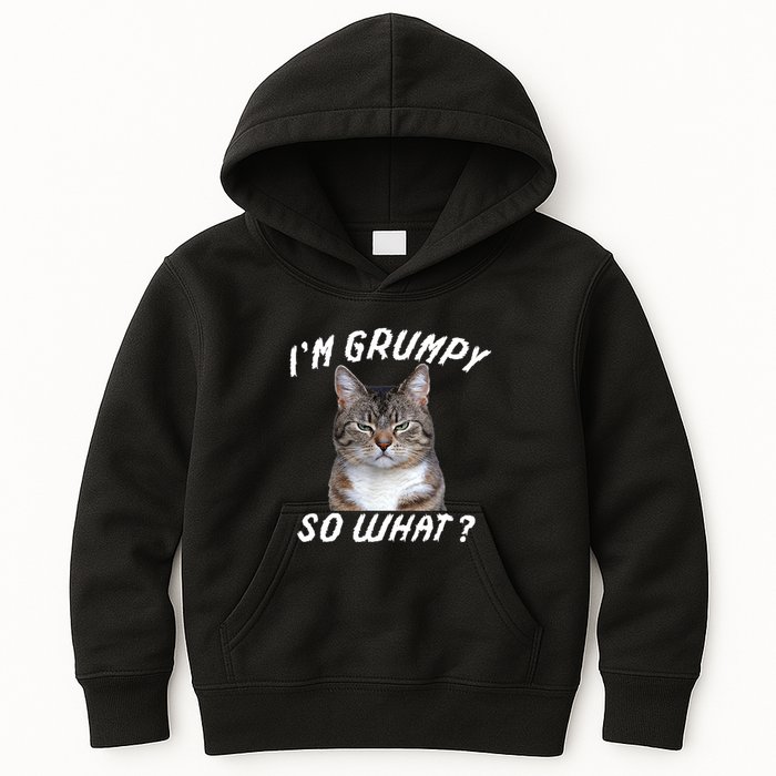 Angry Cat Meme I'm Grumpy So What Kids Hoodie