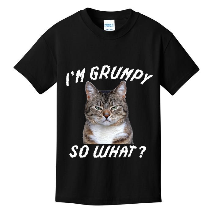 Angry Cat Meme I'm Grumpy So What Kids T-Shirt