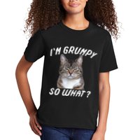 Angry Cat Meme I'm Grumpy So What Kids T-Shirt