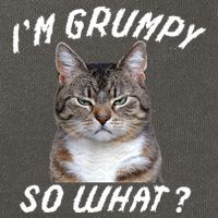 Angry Cat Meme I'm Grumpy So What Cotton Canvas Backpack