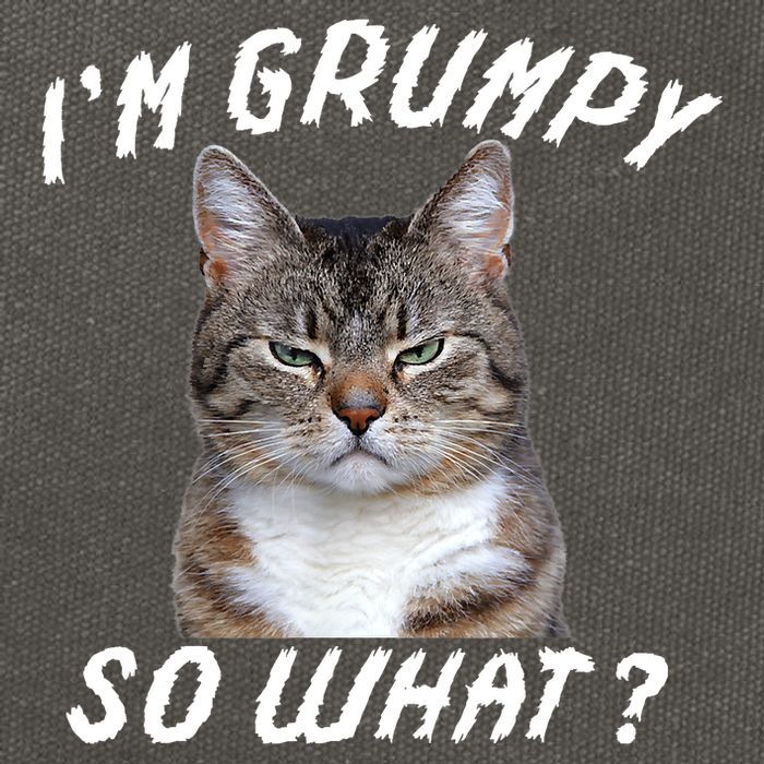 Angry Cat Meme I'm Grumpy So What Cotton Canvas Backpack