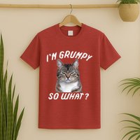 Angry Cat Meme I'm Grumpy So What T-Shirt
