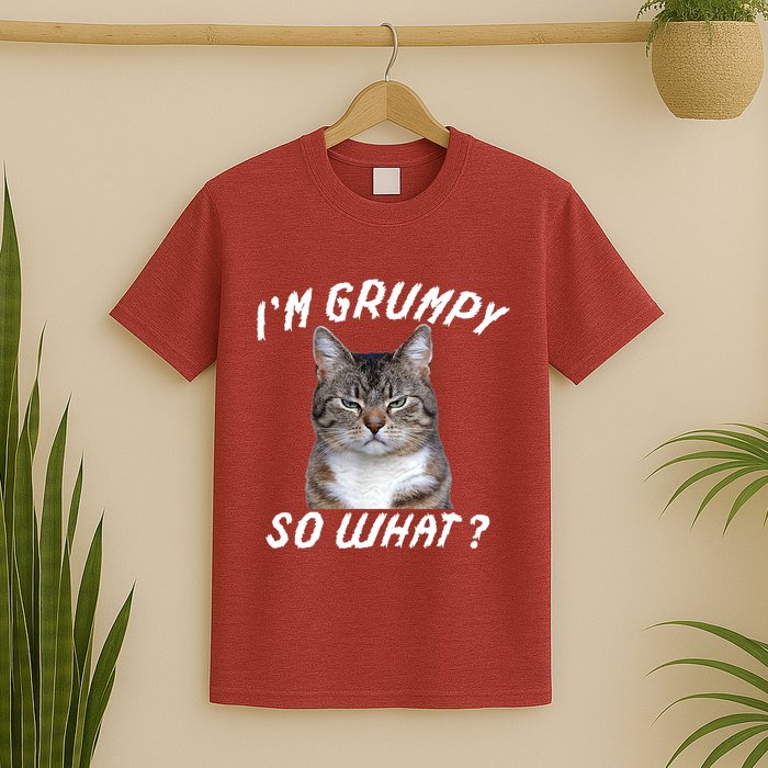 Angry Cat Meme I'm Grumpy So What T-Shirt