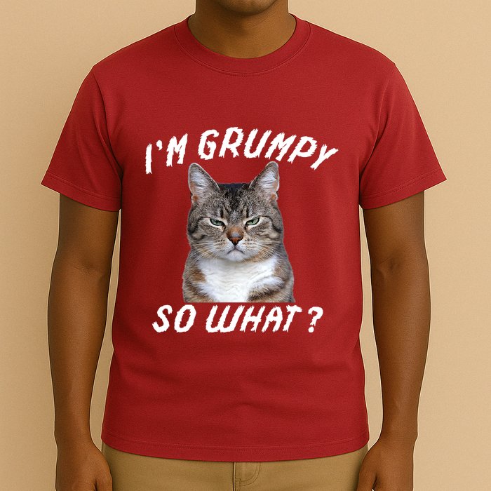 Angry Cat Meme I'm Grumpy So What T-Shirt
