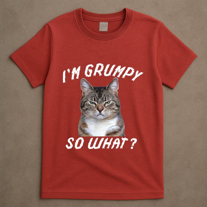 Angry Cat Meme I'm Grumpy So What T-Shirt