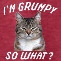 Angry Cat Meme I'm Grumpy So What T-Shirt
