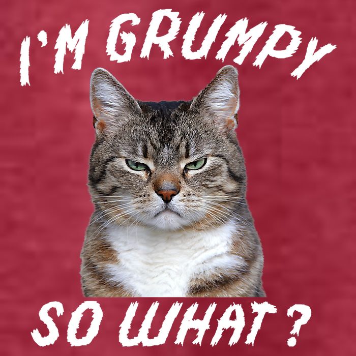Angry Cat Meme I'm Grumpy So What Pom Pom 12in Knit Beanie