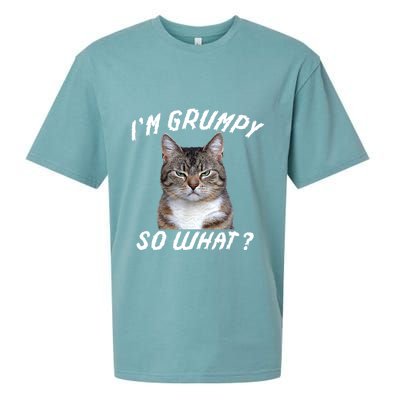 Angry Cat Meme I'm Grumpy So What Sueded Cloud Jersey T-Shirt
