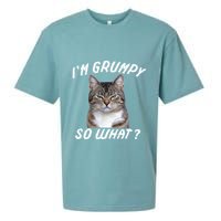 Angry Cat Meme I'm Grumpy So What Sueded Cloud Jersey T-Shirt