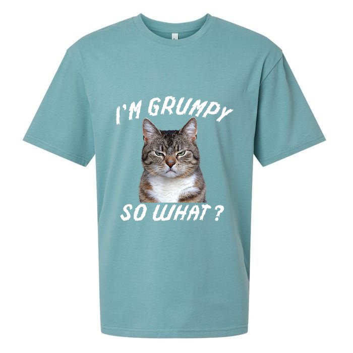 Angry Cat Meme I'm Grumpy So What Sueded Cloud Jersey T-Shirt