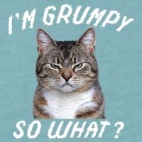 Angry Cat Meme I'm Grumpy So What Sueded Cloud Jersey T-Shirt