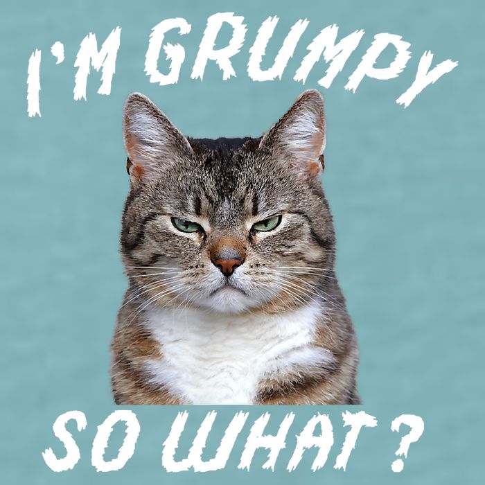 Angry Cat Meme I'm Grumpy So What Sueded Cloud Jersey T-Shirt