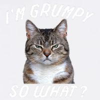 Angry Cat Meme I'm Grumpy So What Garment-Dyed Sweatshirt
