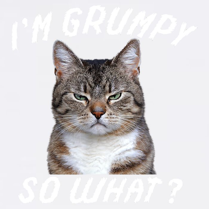 Angry Cat Meme I'm Grumpy So What Garment-Dyed Sweatshirt