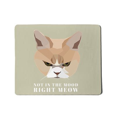 Angry Cat Not In The Mood Right Meow Mousepad