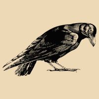 Antique Crow or Raven Drawstring Bag