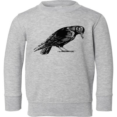 Antique Crow or Raven Toddler Sweatshirt