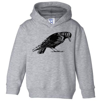 Antique Crow or Raven Toddler Hoodie