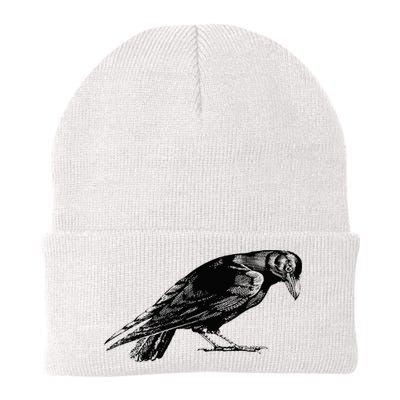 Antique Crow or Raven Beanie