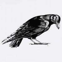 Antique Crow or Raven Visor