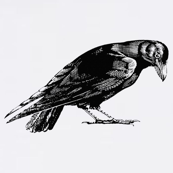 Antique Crow or Raven Visor