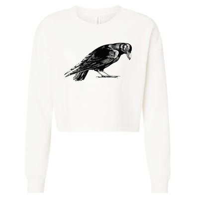 Antique Crow or Raven Cropped Pullover Crew