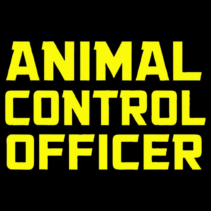 Animal Control Officer Halloween Costume Women's Crop Top Tee