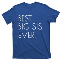 Awesome Cool Older Sister Gift Best Big Sis Ever Meaningful Gift T-Shirt