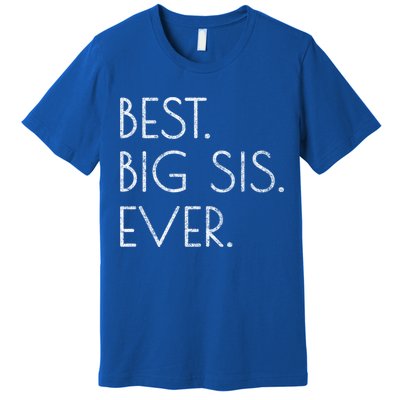 Awesome Cool Older Sister Gift Best Big Sis Ever Meaningful Gift Premium T-Shirt