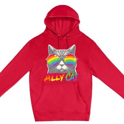 Ally Cat Pride Stuff Flag Transsexual Lgbt Premium Pullover Hoodie