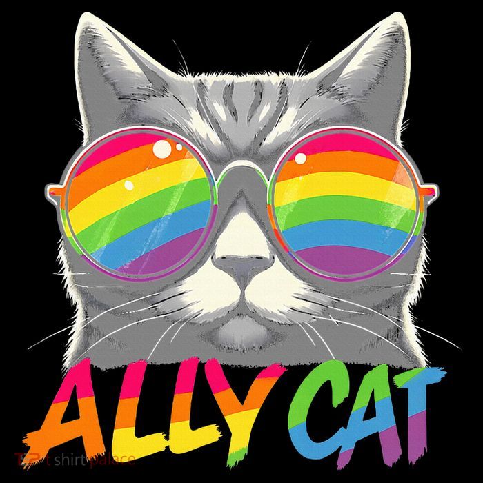 Ally Cat Pride Stuff Flag Lgbt Women's V-Neck T-Shirt