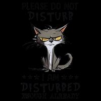 Angry Cat Please Do Not Disturb I Am Disturbed Enough 7-Panel Snapback Hat