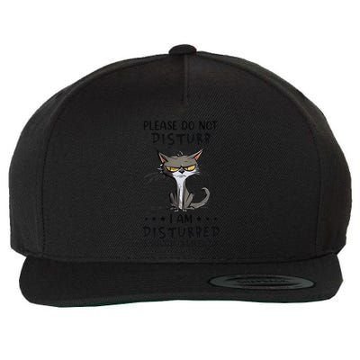 Angry Cat Please Do Not Disturb I Am Disturbed Enough Wool Snapback Cap