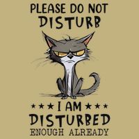 Angry Cat Please Do Not Disturb I Am Disturbed Enough T-Shirt