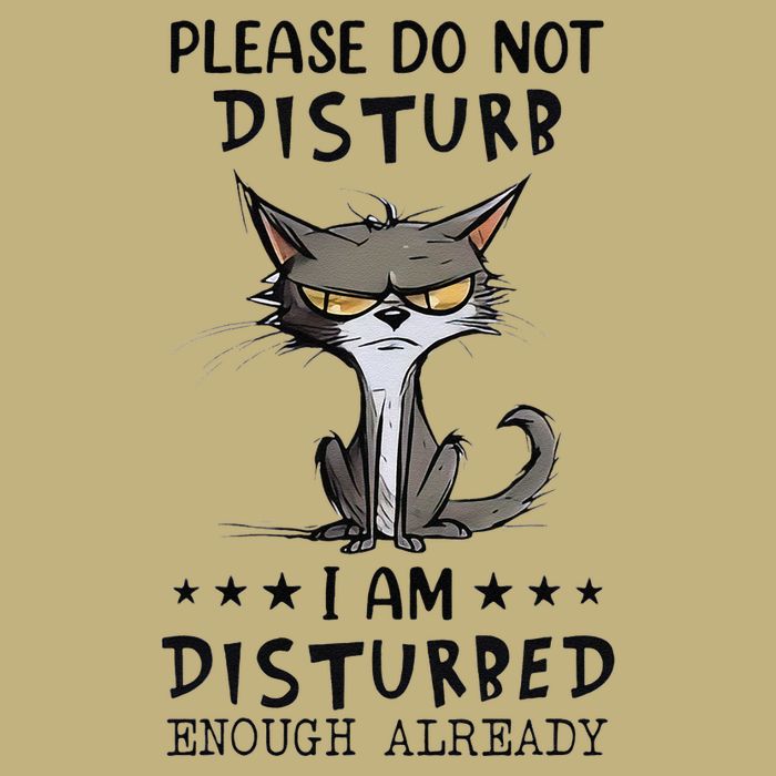 Angry Cat Please Do Not Disturb I Am Disturbed Enough T-Shirt