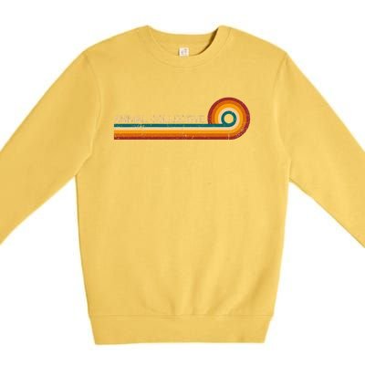 Animal Collective Retro Stripes Musician Vintage Premium Crewneck Sweatshirt