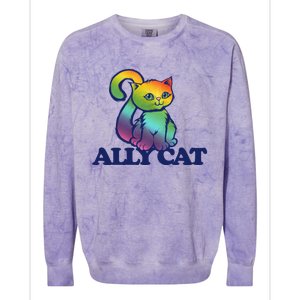 Ally Cat Retro Rainbow Lgbtq Cool Gift Colorblast Crewneck Sweatshirt