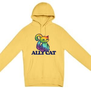 Ally Cat Retro Rainbow Lgbtq Cool Gift Premium Pullover Hoodie