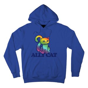 Ally Cat Retro Rainbow Lgbtq Cool Gift Hoodie