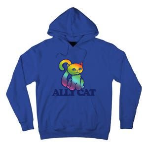 Ally Cat Retro Rainbow Lgbtq Cool Gift Tall Hoodie