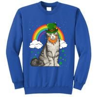 American Curl St Patricks Day Leprechaun Gift Sweatshirt