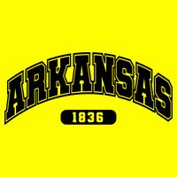 Arkansas Collegiate Style 1836 Button