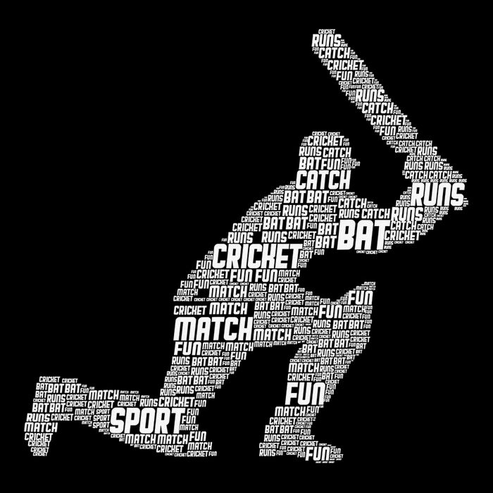 Activating Cricket Skills Sports Player Team Coach Magnet