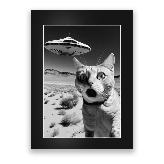 A cat taking a selfie with a ufo spaceship funny pun meme Poster