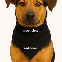 A Complete Unknown..01 USA-Made Doggie Bandana