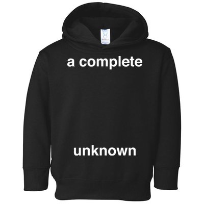 A Complete Unknown..01 Toddler Hoodie
